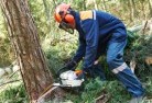 Southgatetree-cutting-services-21.jpg; ?>